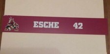 PHOENIX COYOTES Robert Esche locker room nameplate w/old logo from 1998-2002