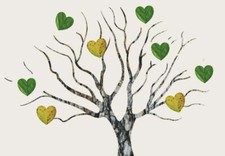 Bush Flower Essences For Mental Clarity And Motivation