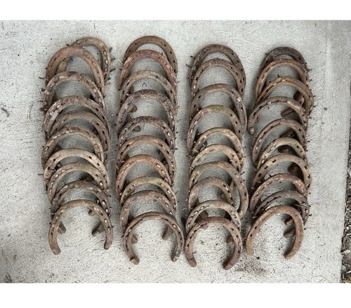40 Used Steel Horseshoes - Metal Crafting - Welding - Western / Rustic Decor