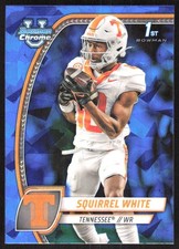 8348K 2024 Bowman University Chrome Sapphire Edition #166 Squirrel White