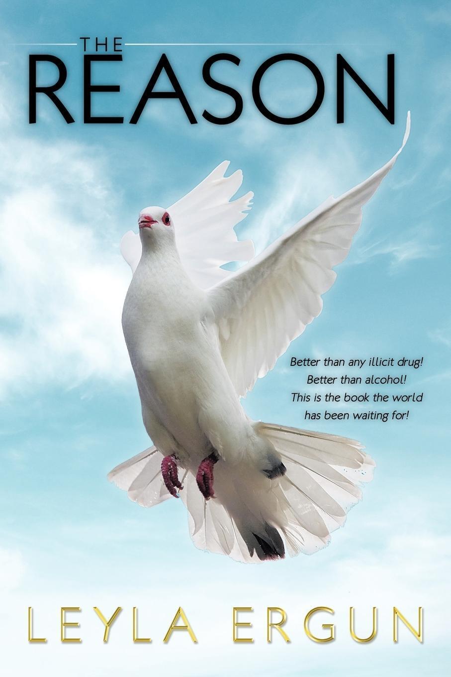 Thumbnail - The Reason Leyla Ergun Taschenbuch Paperback Englisch 2009 Authorhouse