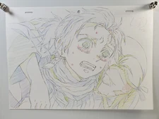 Ufotable Demon Slayer Print Key Frame Art Sheet - Tanjiro & Nezuko