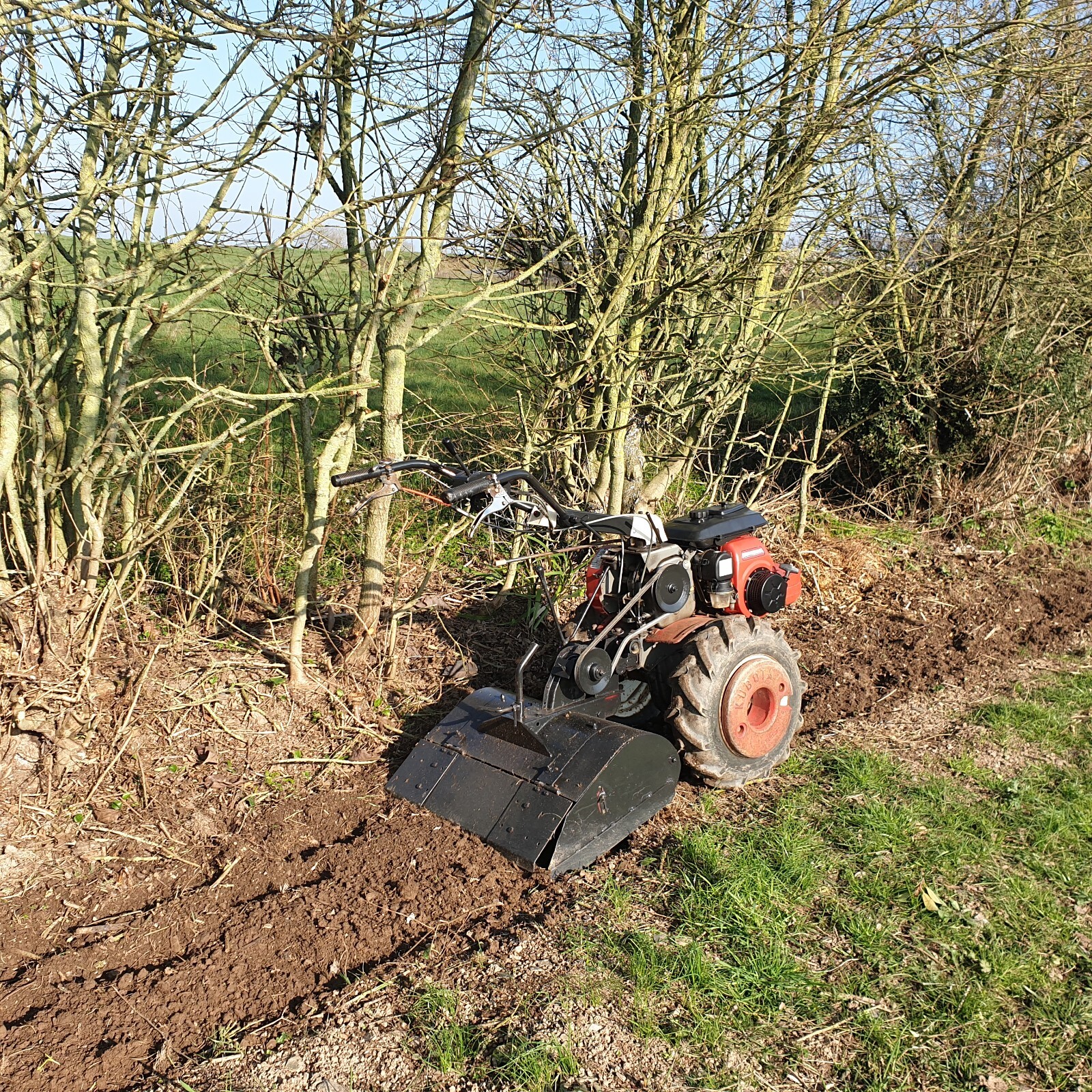 Location motoculteur rotavator charue kubota thermique pour labour et fraisage terre