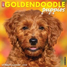 Goldendoodle Puppies 2026 12" x 12" Wall Calendar (free shipping)