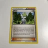 Wally - Uncommon - Pokémon TCG  XY-06 Roaring Skies 2015 - 94/108 - NM