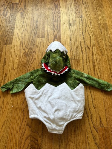 Pottery Barn Kids Baby T-Rex Egg Toddler Halloween Costume Dinosaur