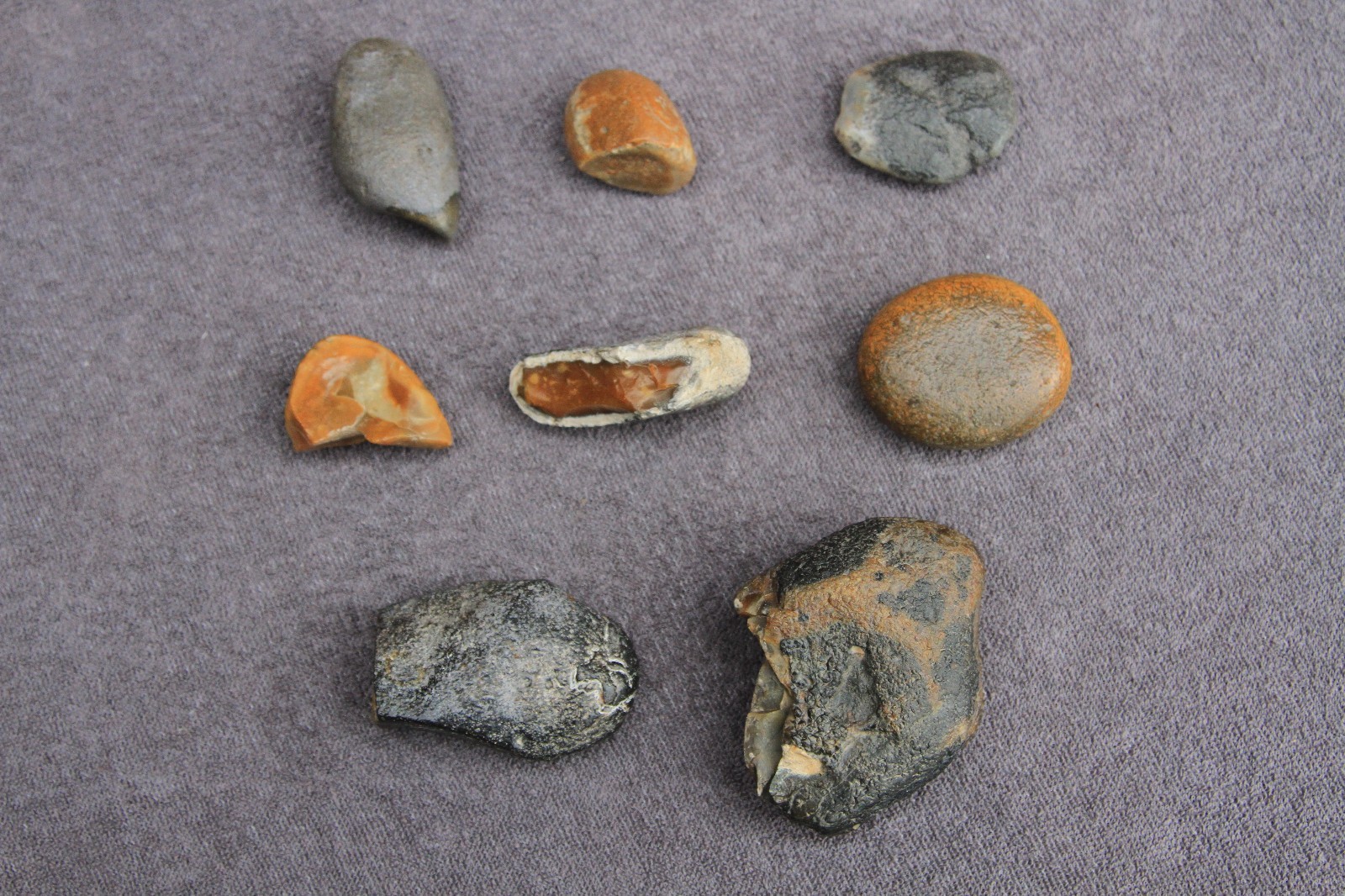 Picture 6 of 12