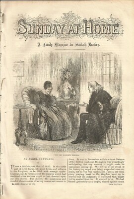 Sunday at Home Magazine 1874 Christian Religious Tract Society London #1035
