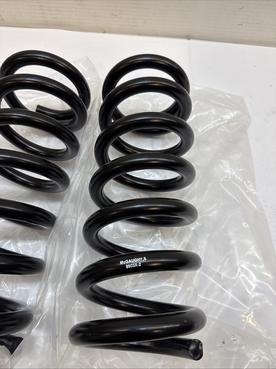 Mcgaughy's 9903X-2 Springs Set Of 2 | eBay
