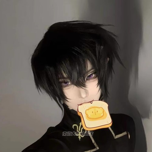 Cosplay Code Geass C.C. Lelouch Kururugi Suzaku Wigs Halloween Hairpiece Props - Picture 5 of 14