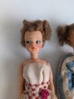 Tammy Dolls Bundle With Over 20 Pieces Of Clothes & Accessories. 3 Dolls. 1960's — photo 3