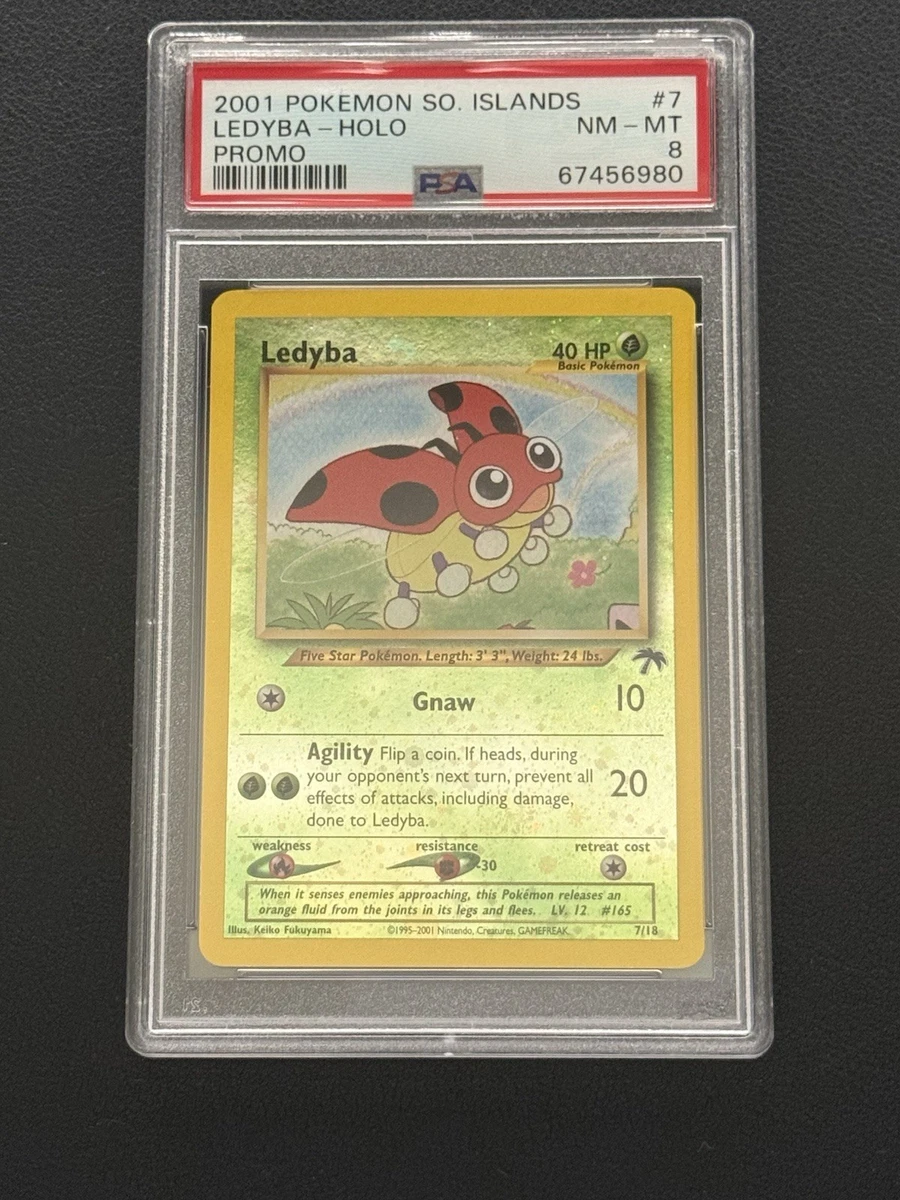 Ledyba