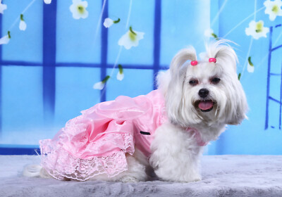 DoggyDolly Authentic Pet Dog Clothes Pink Elegant Wedding Dress | eBay DoggyDolly Authentic Pet Dog Clothes Pink Elegant Wedding Dress | eBay