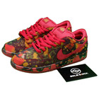 The Wizard of Oz × Nike SB Dunk Low Pro Poppy Field FZ1291-600 Men's Size