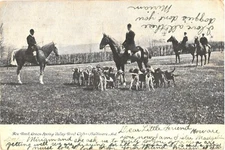 Baltimore Maryland Fox Hunt Green Spring Valley Hunt Club Postcard