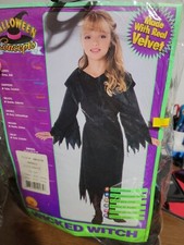 XX11237 Velvet Wicked Witch Dress Costume Girl Rubies