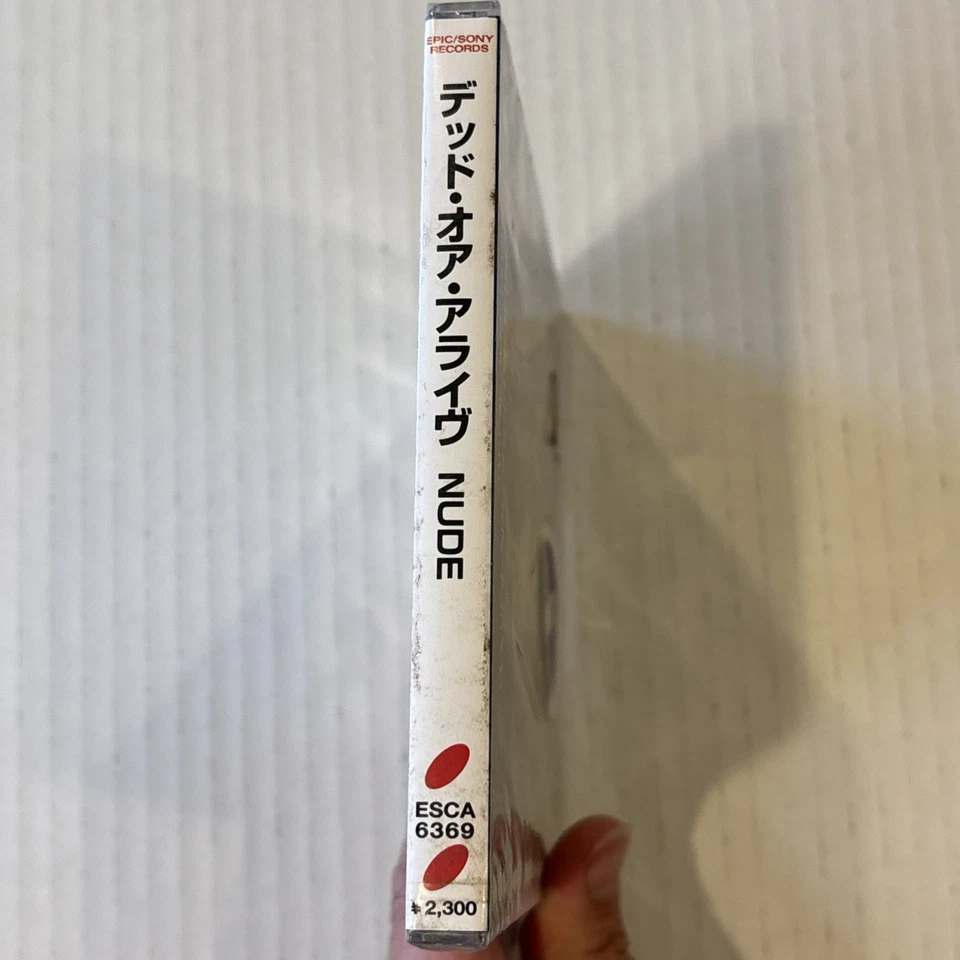 DEAD OR ALIVE CD LOT SEALED JAPAN OBI NUDE Fragile RIP IT UP +1 BOOM BOOM *READ* - Image 3 of 4