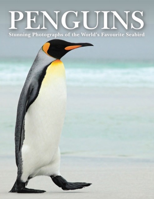 Penguins by Tom Jackson (Hardback Book)