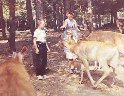 1961 Young Girl & Boy Feeding Deer Petting Zoo Animals Woman Orig Photo P16t29