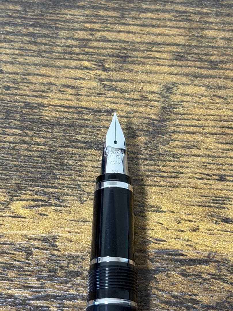 PILOT SE NIB Fountain Pen 14K Metal Grip Elabo Luxury Write Authentic Rare