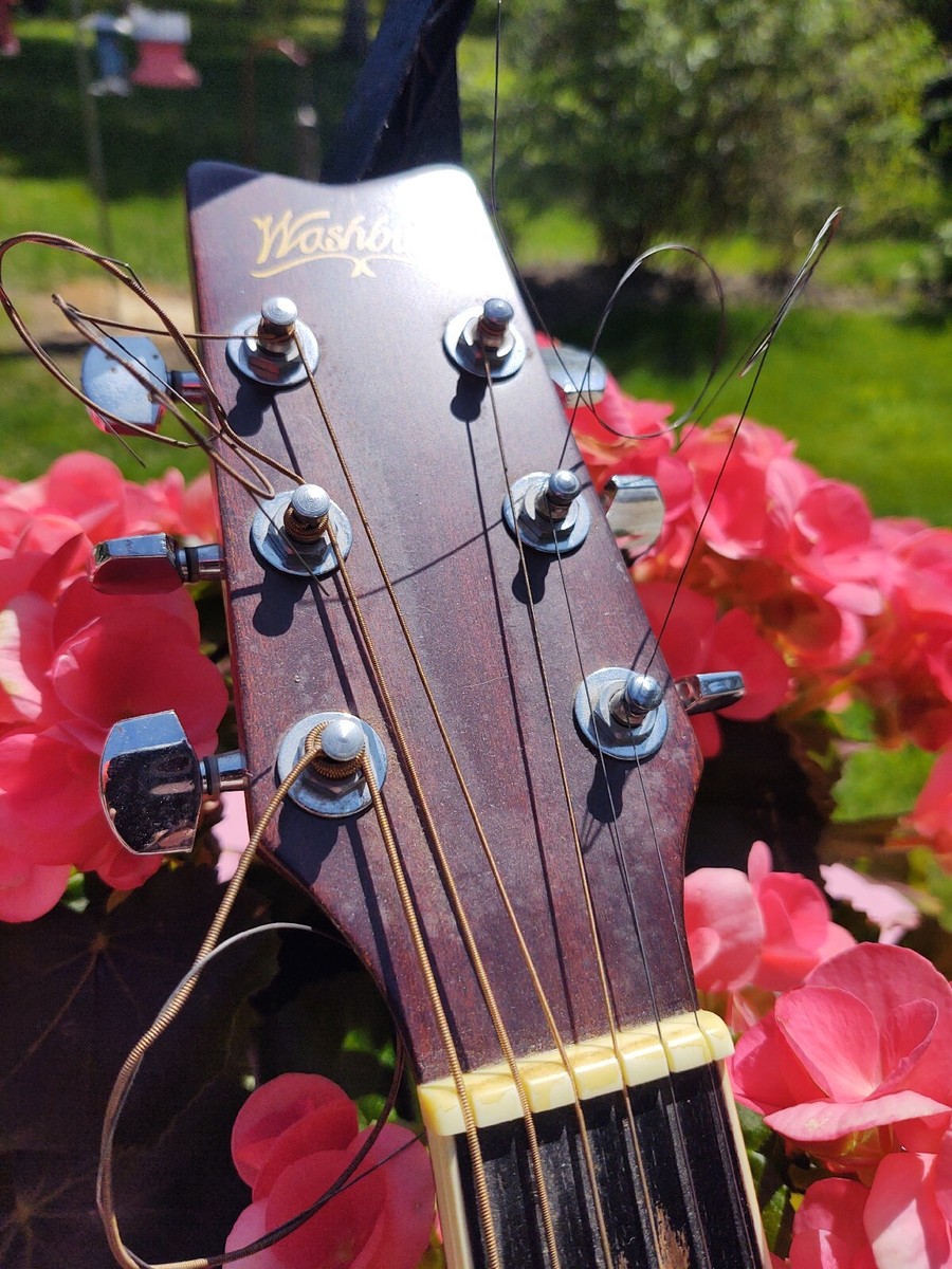 Washburn D 8 K Guitar | eBay