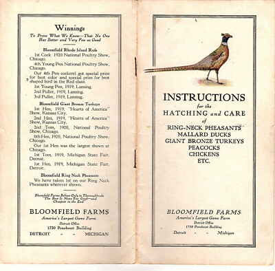 Instructions for Hatching/Care Ring-Neck Pheasants & Other Birds Vtge Booklet 