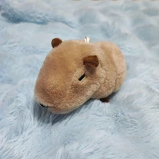 Nohohon Capybara Plush Toy, Great Condition, No Charm, PetFree,
