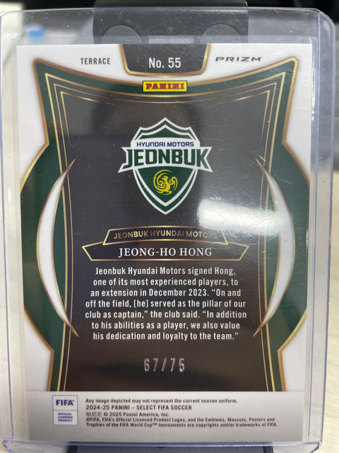 Pannini Select Jeonbuk Hyundai Bronze Checker Limited 75 Hong Jung-ho