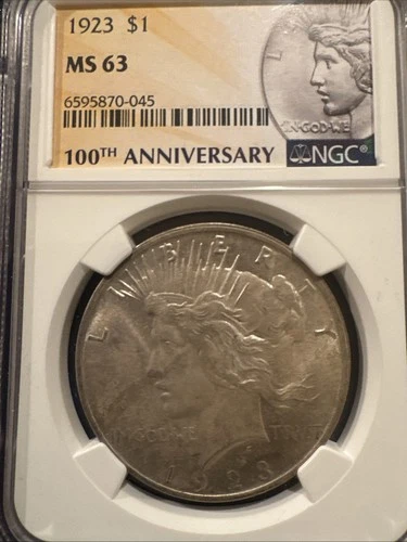 1923 PEACE Dollar NGC MS63 90% Silver With Toning 100th  Anniversary