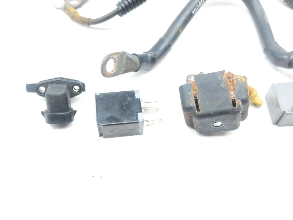 Juego de relés Fatboy 02 Harley Davidson FLSTFI cables de batería luz de freno temperatura del aire Foto 2 de 4