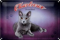 Schild Blech 30X20Cm - Made In Germany - Katze Chartreux Deutschland Metall Deko