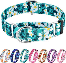 Martingale Collar for Dogs with No Buckle Floral Daisy Dog Collar Soft Nylon No