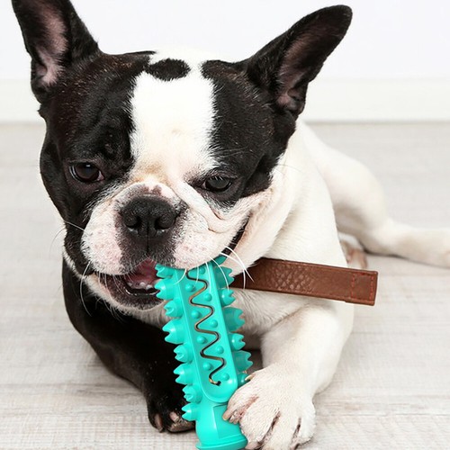 Palo de limpieza de dientes de perro juguete para morder a perro juguete para cachorros - Imagen 2 de 11