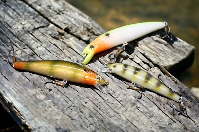 Minnow Rap Bundle