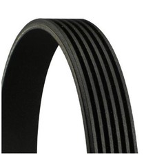 Keilrippenriemen für Mercedes S-Klasse C215 W220 SL R129 R230 SLK R170 | 239426