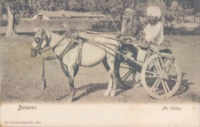 British INDIA BENARES an ekka 1900s litho PC