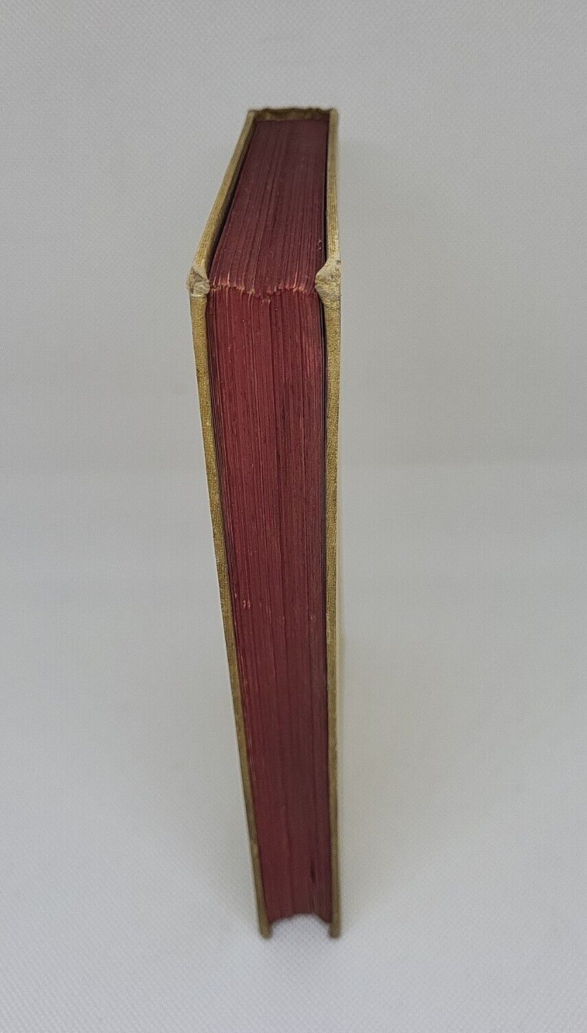 Foto 4 di 12