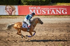 Ten Plus Horse Racing System