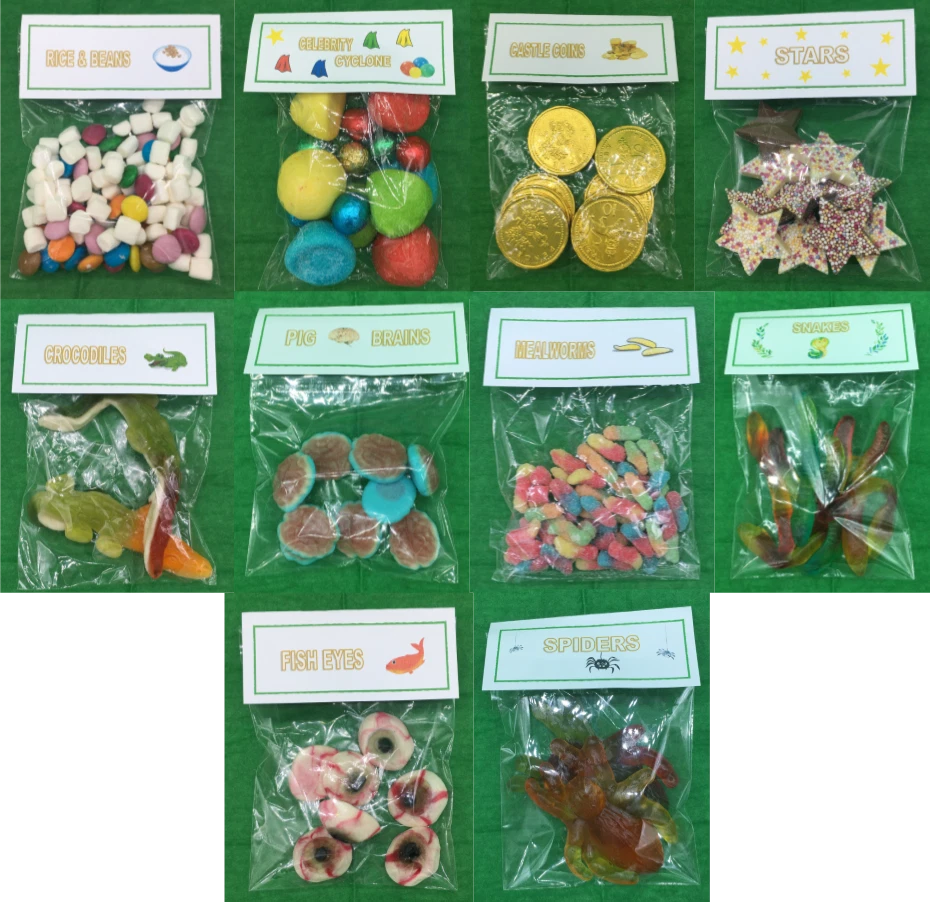 I'm a Celebrity Show Inspired Chocolate Castle Coins Novelty Sweets | eBay