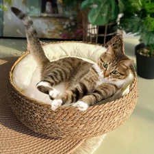 Natural Cat Bed Straw Nest Woven Pet House Handmade Braided Cattail Leaf With So
