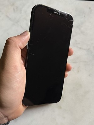 Apple iPhone 12 Pro Max 256GB Unlocked READ DESCRIPTION
