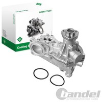 INA Wasserpumpe MIT GehÄUse Passend FüR Audi A4 A6 Cabriolet VW Passat | 538