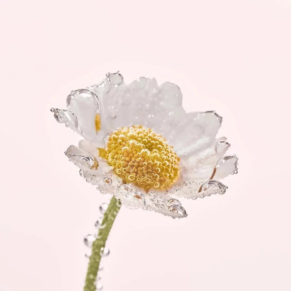 Yves Rocher Pure Camomille Micellar Make-up Removing Oil 150 ml. /5 fl.oz. - Bild 4 von 4