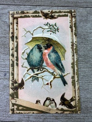 Victorian Dentist Trade Card Dr H P Snyder Grand Rapids Birds Umbrella Snow