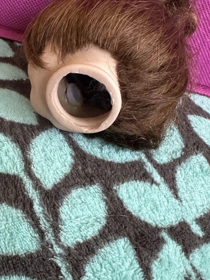 Cabeza de muñeca de cerámica de porcelana vintage, cabello castaño, ojos marrones, pestañas Foto 4 de 4