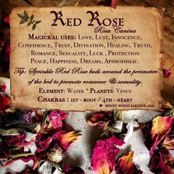 Victorian Rose Witch™ Love & Lust Rose Perfume Ritual Oil