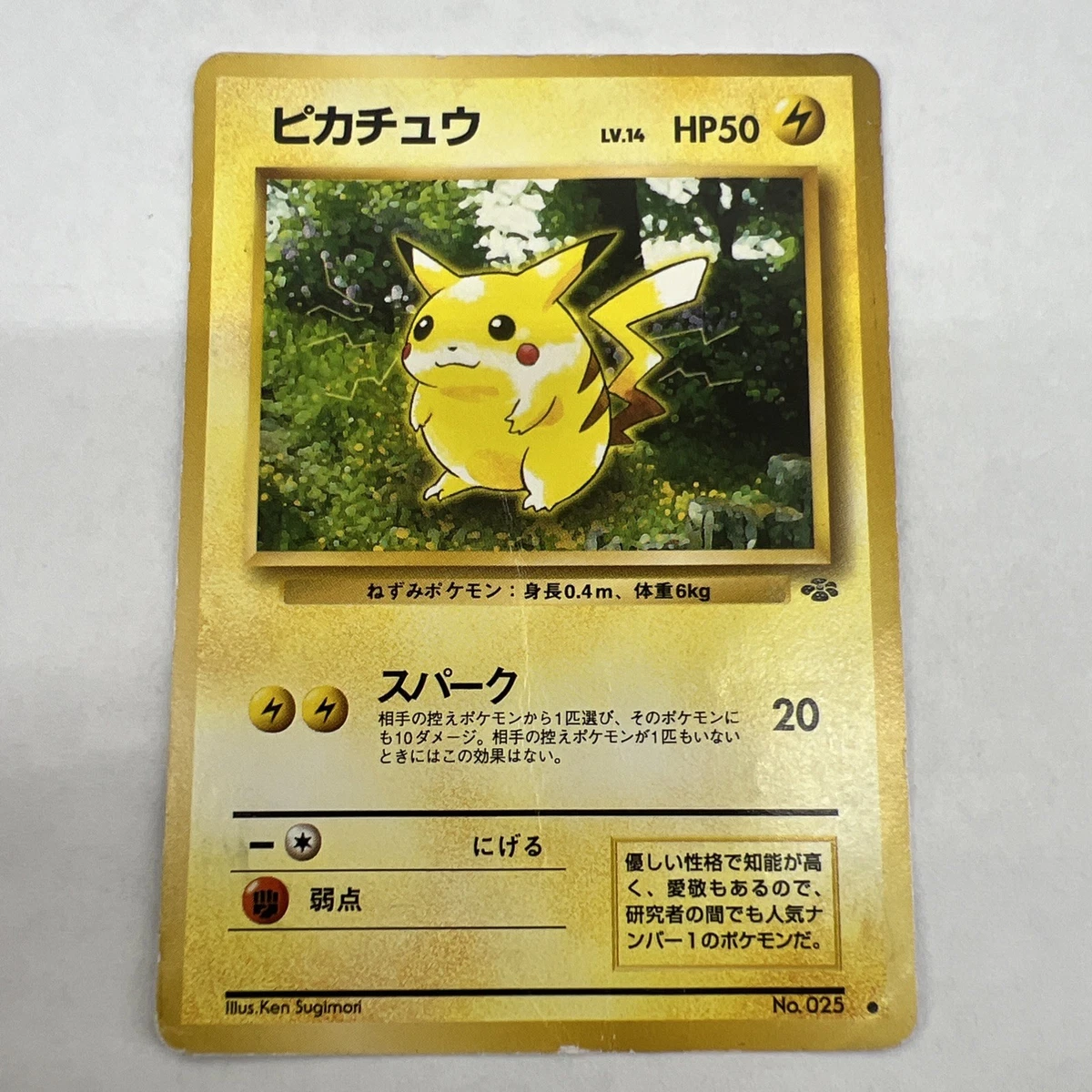 Pikachu Pokémon TCG Jungle Japanese Individual Collectible Card