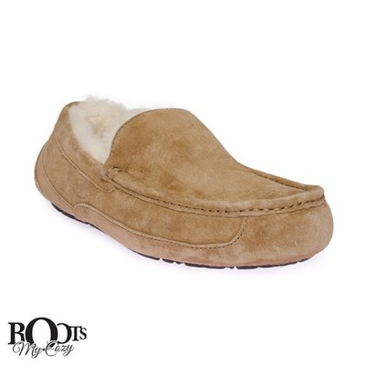 UGG ASCOT CHESTNUT SHEEPSKIN MEN