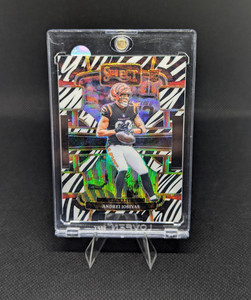 Football Zebra | eBay