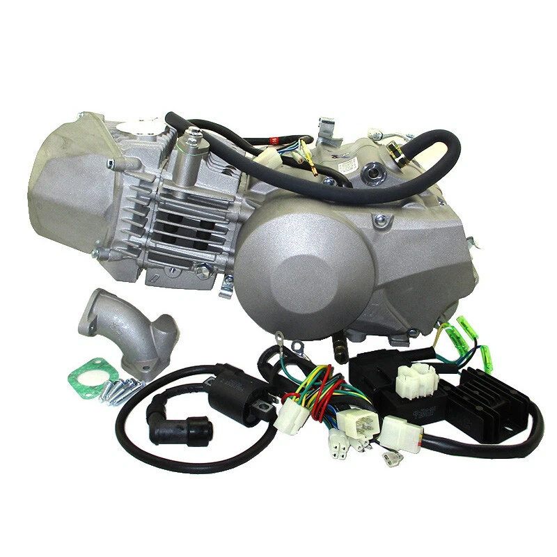 190cc 4-Valve Anima 190FLX Engine With Light System For Daytona